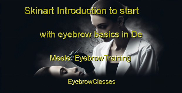 Skinart Introduction to start with eyebrow basics in De Meele | EyebrowTraining | EyebrowClasses | SkinartTraining-Netherlands
