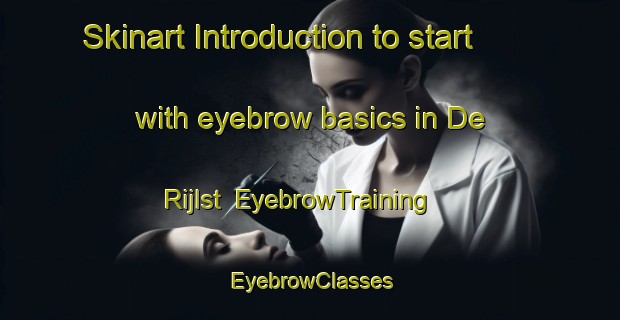 Skinart Introduction to start with eyebrow basics in De Rijlst | EyebrowTraining | EyebrowClasses | SkinartTraining-Netherlands