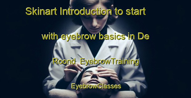 Skinart Introduction to start with eyebrow basics in De Roond | EyebrowTraining | EyebrowClasses | SkinartTraining-Netherlands