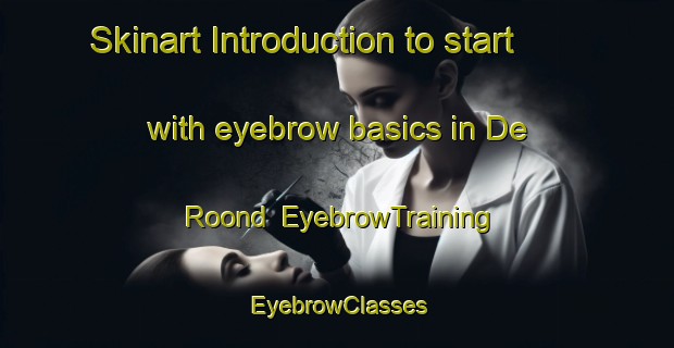 Skinart Introduction to start with eyebrow basics in De Roond | EyebrowTraining | EyebrowClasses | SkinartTraining-Netherlands