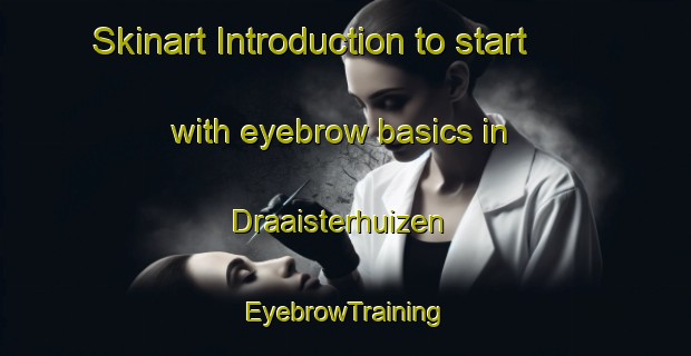 Skinart Introduction to start with eyebrow basics in Draaisterhuizen | EyebrowTraining | EyebrowClasses | SkinartTraining-Netherlands