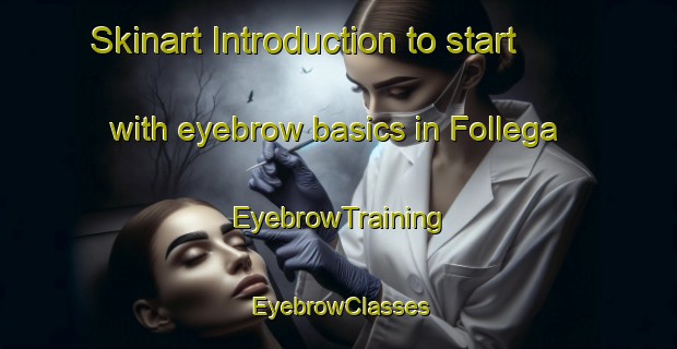 Skinart Introduction to start with eyebrow basics in Follega | EyebrowTraining | EyebrowClasses | SkinartTraining-Netherlands