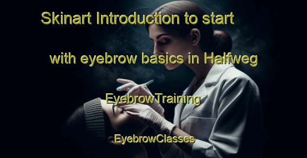 Skinart Introduction to start with eyebrow basics in Halfweg | EyebrowTraining | EyebrowClasses | SkinartTraining-Netherlands
