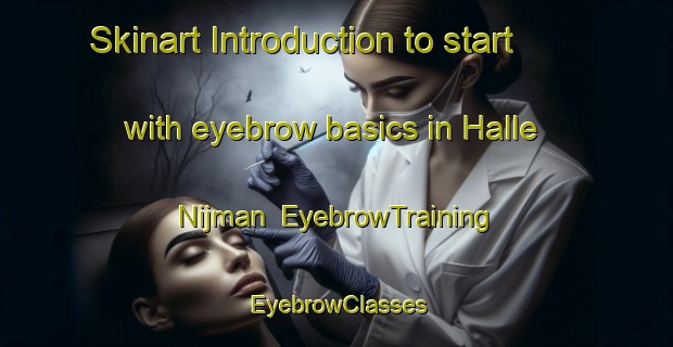 Skinart Introduction to start with eyebrow basics in Halle Nijman | EyebrowTraining | EyebrowClasses | SkinartTraining-Netherlands