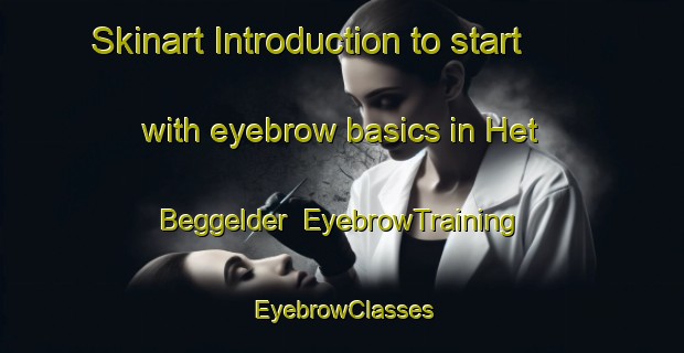 Skinart Introduction to start with eyebrow basics in Het Beggelder | EyebrowTraining | EyebrowClasses | SkinartTraining-Netherlands