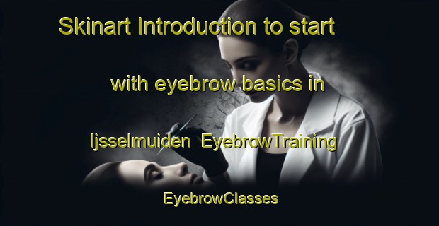 Skinart Introduction to start with eyebrow basics in Ijsselmuiden | EyebrowTraining | EyebrowClasses | SkinartTraining-Netherlands