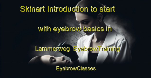 Skinart Introduction to start with eyebrow basics in Lammerweg | EyebrowTraining | EyebrowClasses | SkinartTraining-Netherlands