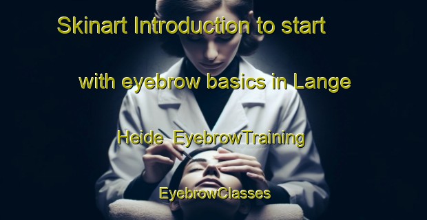 Skinart Introduction to start with eyebrow basics in Lange Heide | EyebrowTraining | EyebrowClasses | SkinartTraining-Netherlands