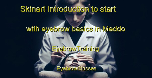 Skinart Introduction to start with eyebrow basics in Meddo | EyebrowTraining | EyebrowClasses | SkinartTraining-Netherlands