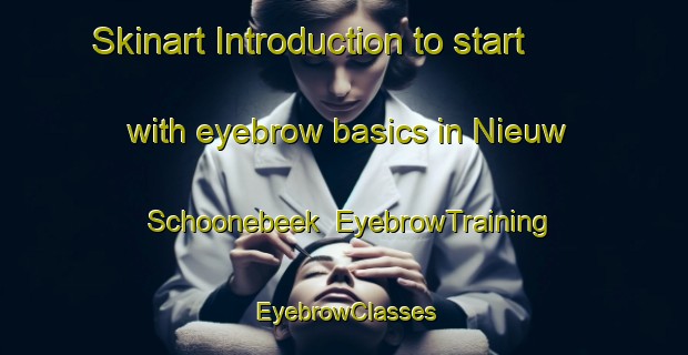 Skinart Introduction to start with eyebrow basics in Nieuw Schoonebeek | EyebrowTraining | EyebrowClasses | SkinartTraining-Netherlands