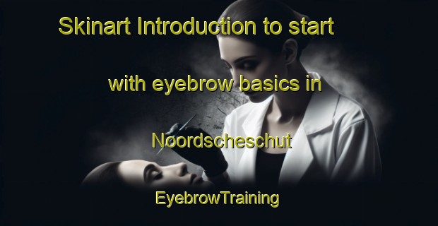 Skinart Introduction to start with eyebrow basics in Noordscheschut | EyebrowTraining | EyebrowClasses | SkinartTraining-Netherlands