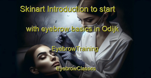 Skinart Introduction to start with eyebrow basics in Odijk | EyebrowTraining | EyebrowClasses | SkinartTraining-Netherlands