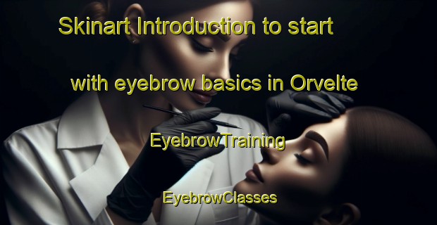 Skinart Introduction to start with eyebrow basics in Orvelte | EyebrowTraining | EyebrowClasses | SkinartTraining-Netherlands