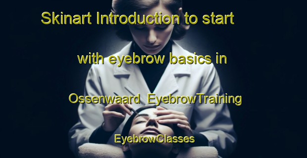 Skinart Introduction to start with eyebrow basics in Ossenwaard | EyebrowTraining | EyebrowClasses | SkinartTraining-Netherlands
