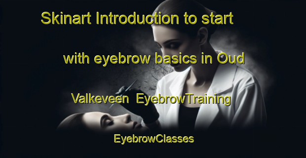 Skinart Introduction to start with eyebrow basics in Oud Valkeveen | EyebrowTraining | EyebrowClasses | SkinartTraining-Netherlands
