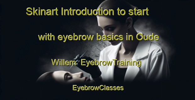 Skinart Introduction to start with eyebrow basics in Oude Willem | EyebrowTraining | EyebrowClasses | SkinartTraining-Netherlands