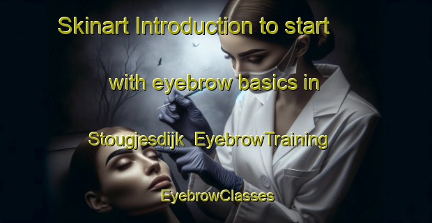Skinart Introduction to start with eyebrow basics in Stougjesdijk | EyebrowTraining | EyebrowClasses | SkinartTraining-Netherlands