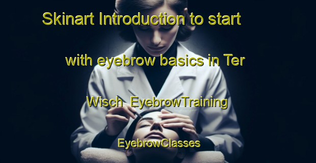 Skinart Introduction to start with eyebrow basics in Ter Wisch | EyebrowTraining | EyebrowClasses | SkinartTraining-Netherlands