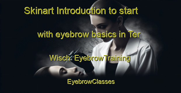 Skinart Introduction to start with eyebrow basics in Ter Wisch | EyebrowTraining | EyebrowClasses | SkinartTraining-Netherlands