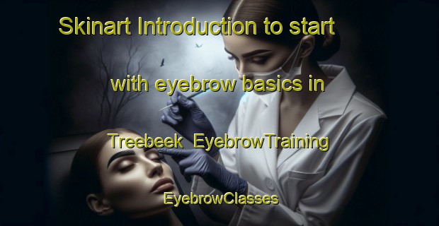 Skinart Introduction to start with eyebrow basics in Treebeek | EyebrowTraining | EyebrowClasses | SkinartTraining-Netherlands
