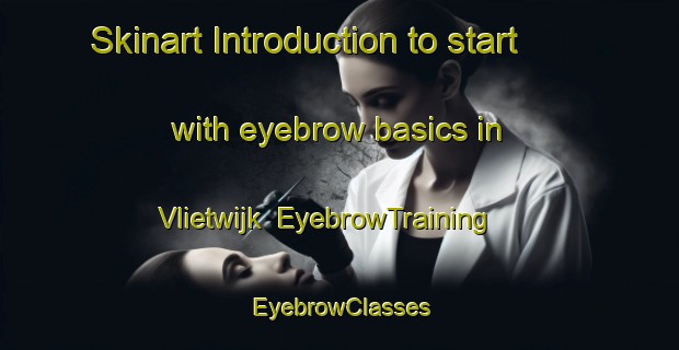 Skinart Introduction to start with eyebrow basics in Vlietwijk | EyebrowTraining | EyebrowClasses | SkinartTraining-Netherlands