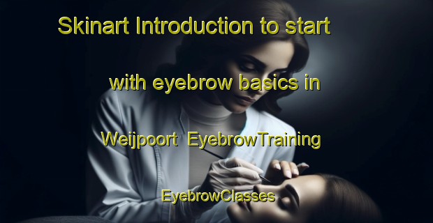 Skinart Introduction to start with eyebrow basics in Weijpoort | EyebrowTraining | EyebrowClasses | SkinartTraining-Netherlands