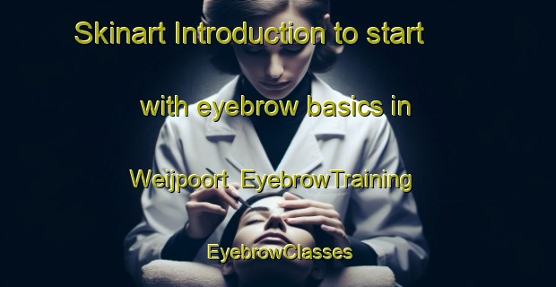 Skinart Introduction to start with eyebrow basics in Weijpoort | EyebrowTraining | EyebrowClasses | SkinartTraining-Netherlands