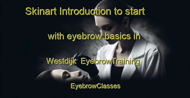 Skinart Introduction to start with eyebrow basics in Westdijk | EyebrowTraining | EyebrowClasses | SkinartTraining-Netherlands