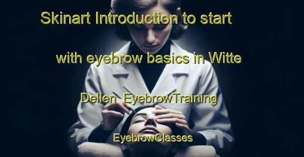 Skinart Introduction to start with eyebrow basics in Witte Dellen | EyebrowTraining | EyebrowClasses | SkinartTraining-Netherlands