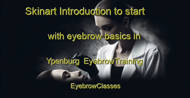 Skinart Introduction to start with eyebrow basics in Ypenburg | EyebrowTraining | EyebrowClasses | SkinartTraining-Netherlands