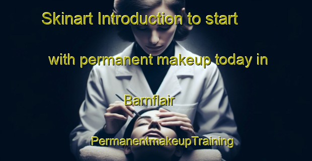 Skinart Introduction to start with permanent makeup today in Barnflair | #PermanentmakeupTraining #PermanentmakeupClasses #SkinartTraining-Netherlands