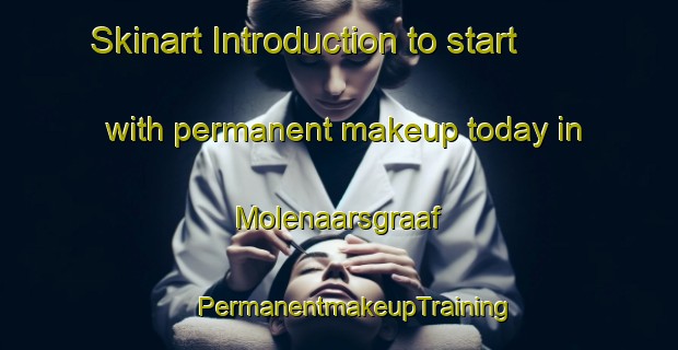 Skinart Introduction to start with permanent makeup today in Molenaarsgraaf | #PermanentmakeupTraining #PermanentmakeupClasses #SkinartTraining-Netherlands