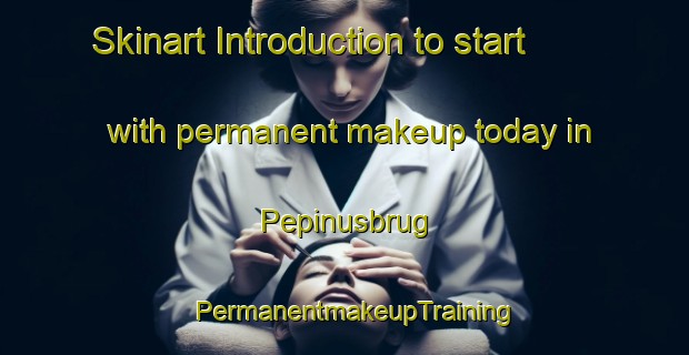 Skinart Introduction to start with permanent makeup today in Pepinusbrug | PermanentmakeupTraining | PermanentmakeupClasses | SkinartTraining-Netherlands