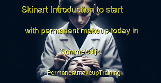 Skinart Introduction to start with permanent makeup today in Sommelsdijk | #PermanentmakeupTraining #PermanentmakeupClasses #SkinartTraining-Netherlands