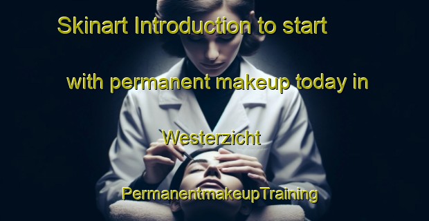Skinart Introduction to start with permanent makeup today in Westerzicht | PermanentmakeupTraining | PermanentmakeupClasses | SkinartTraining-Netherlands