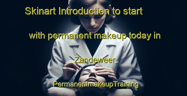 Skinart Introduction to start with permanent makeup today in Zandeweer | PermanentmakeupTraining | PermanentmakeupClasses | SkinartTraining-Netherlands