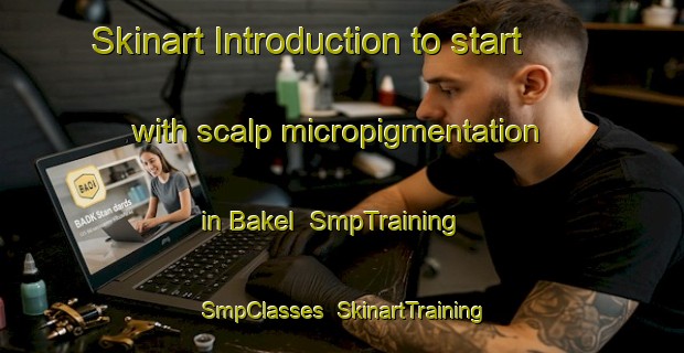 Skinart Introduction to start with scalp micropigmentation in Bakel | SmpTraining | SmpClasses | SkinartTraining-Netherlands