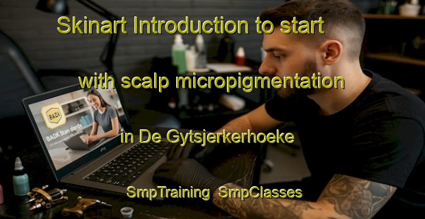 Skinart Introduction to start with scalp micropigmentation in De Gytsjerkerhoeke | SmpTraining | SmpClasses | SkinartTraining-Netherlands