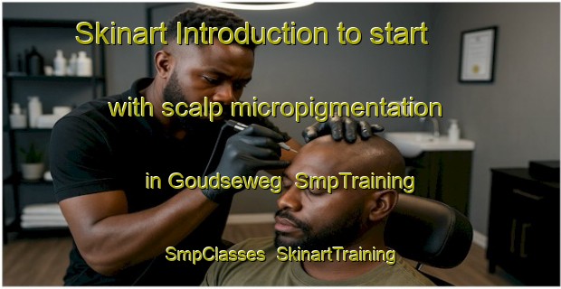 Skinart Introduction to start with scalp micropigmentation in Goudseweg | SmpTraining | SmpClasses | SkinartTraining-Netherlands