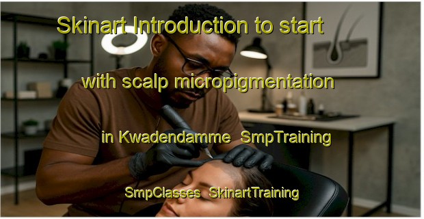 Skinart Introduction to start with scalp micropigmentation in Kwadendamme | SmpTraining | SmpClasses | SkinartTraining-Netherlands