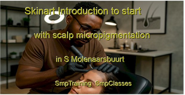 Skinart Introduction to start with scalp micropigmentation in S Molenaarsbuurt | SmpTraining | SmpClasses | SkinartTraining-Netherlands