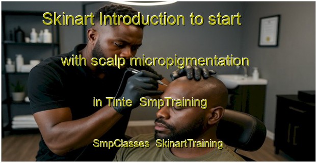 Skinart Introduction to start with scalp micropigmentation in Tinte | SmpTraining | SmpClasses | SkinartTraining-Netherlands