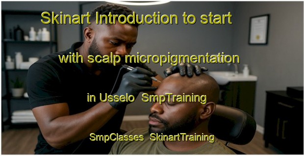 Skinart Introduction to start with scalp micropigmentation in Usselo | SmpTraining | SmpClasses | SkinartTraining-Netherlands