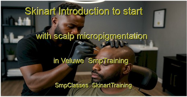 Skinart Introduction to start with scalp micropigmentation in Veluwe | SmpTraining | SmpClasses | SkinartTraining-Netherlands