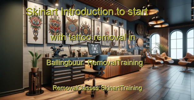 Skinart Introduction to start with tattoo removal in Ballingbuur | #RemovalTraining #RemovalClasses #SkinartTraining-Netherlands