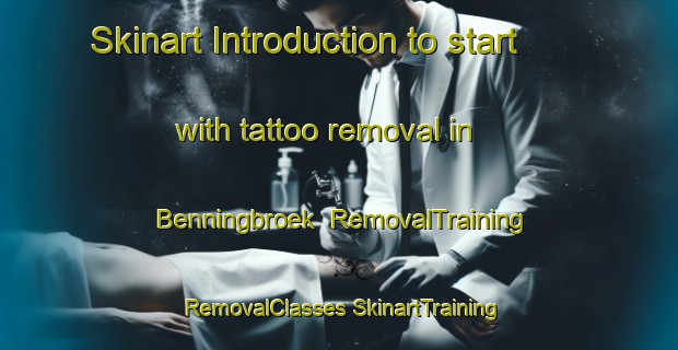 Skinart Introduction to start with tattoo removal in Benningbroek | #RemovalTraining #RemovalClasses #SkinartTraining-Netherlands