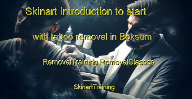 Skinart Introduction to start with tattoo removal in Boksum | #RemovalTraining #RemovalClasses #SkinartTraining-Netherlands