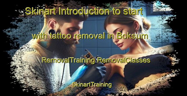 Skinart Introduction to start with tattoo removal in Boksum | #RemovalTraining #RemovalClasses #SkinartTraining-Netherlands