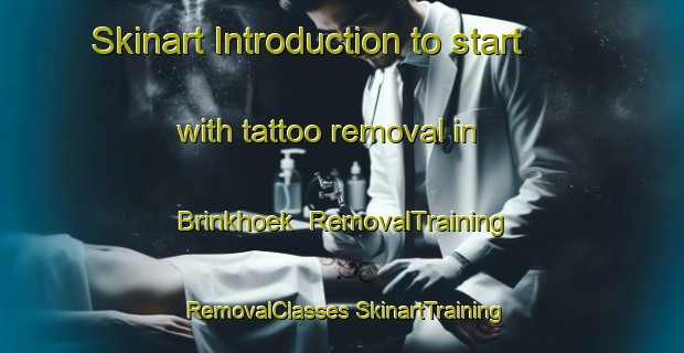 Skinart Introduction to start with tattoo removal in Brinkhoek | #RemovalTraining #RemovalClasses #SkinartTraining-Netherlands