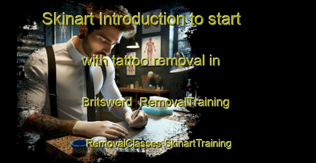 Skinart Introduction to start with tattoo removal in Britswerd | #RemovalTraining #RemovalClasses #SkinartTraining-Netherlands